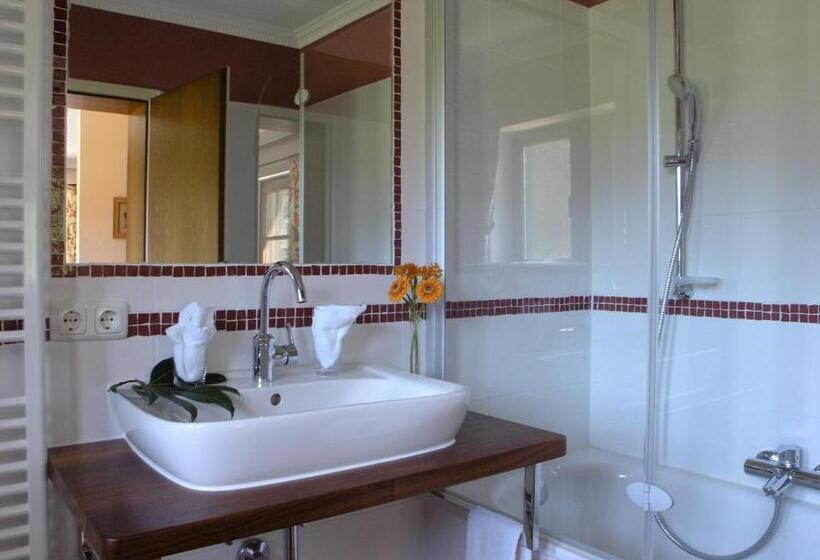 Номер Стандарт, Bachmair Alpina