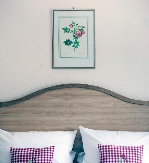 Номер Стандарт, Bachmair Alpina