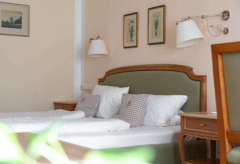 Номер Комфорт, Bachmair Alpina