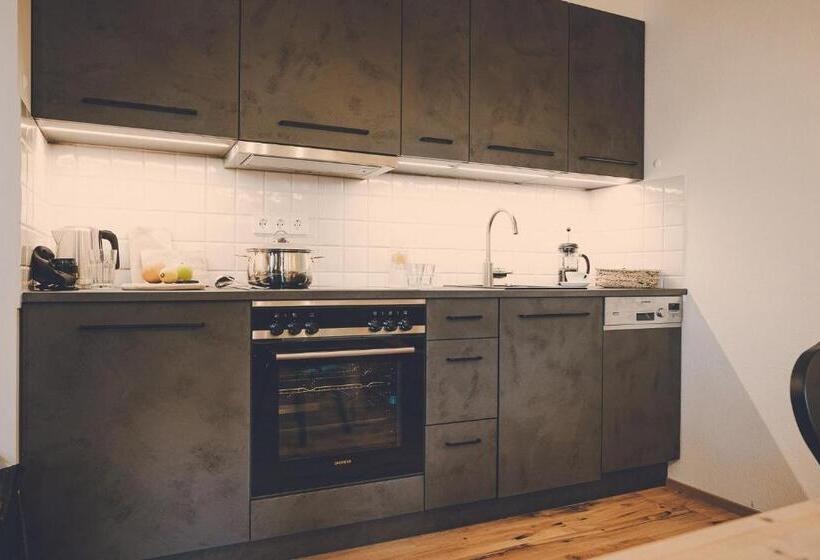 Апартаменты Дюплекс 1 Спальня, Der Lederer Hof Boutique Apartments