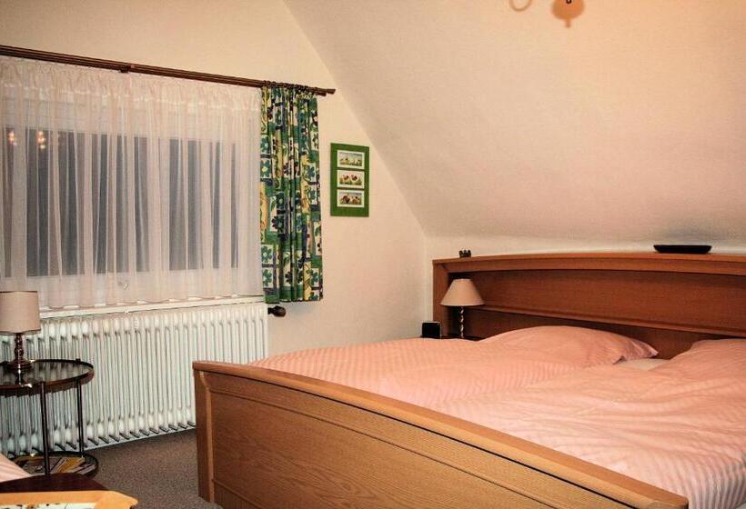 غرفة قياسية, Fernblick