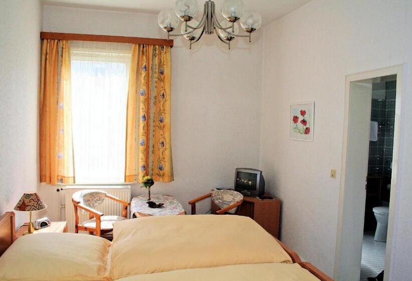 غرفة قياسية, Fernblick