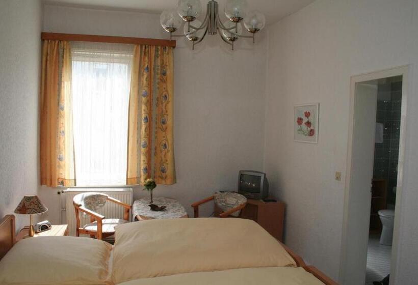 غرفة قياسية, Fernblick