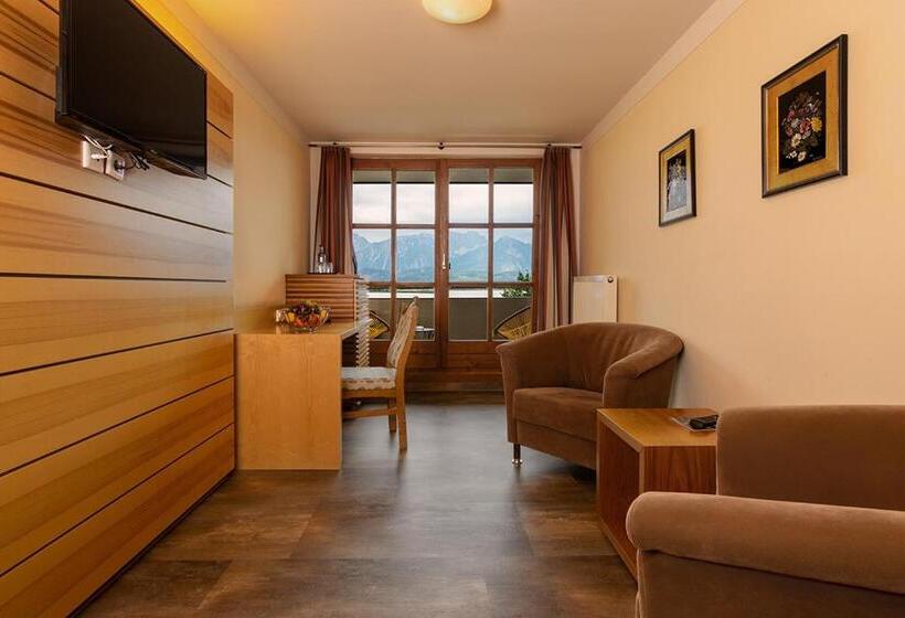 Номер Комфорт, Geiger