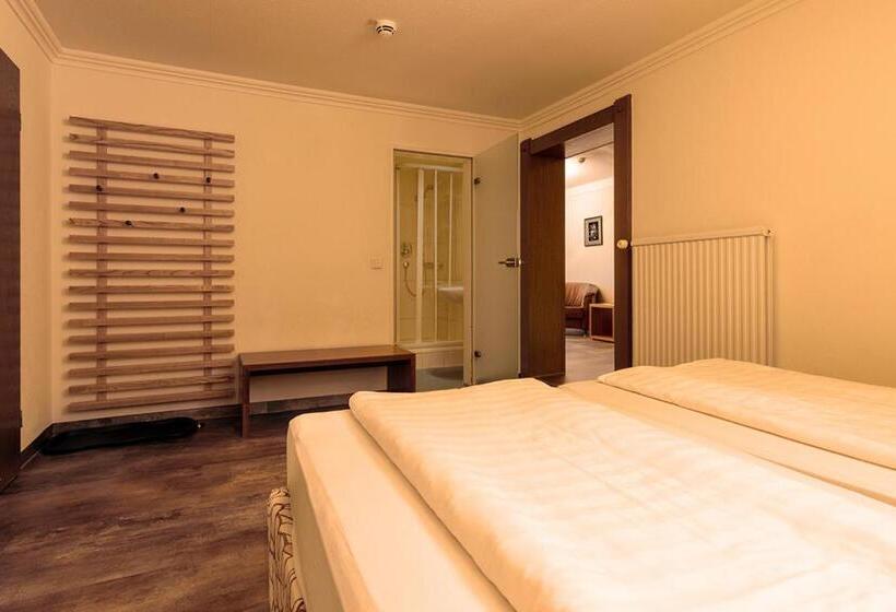 Номер Комфорт, Geiger