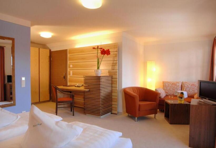 Номер Комфорт, Geiger