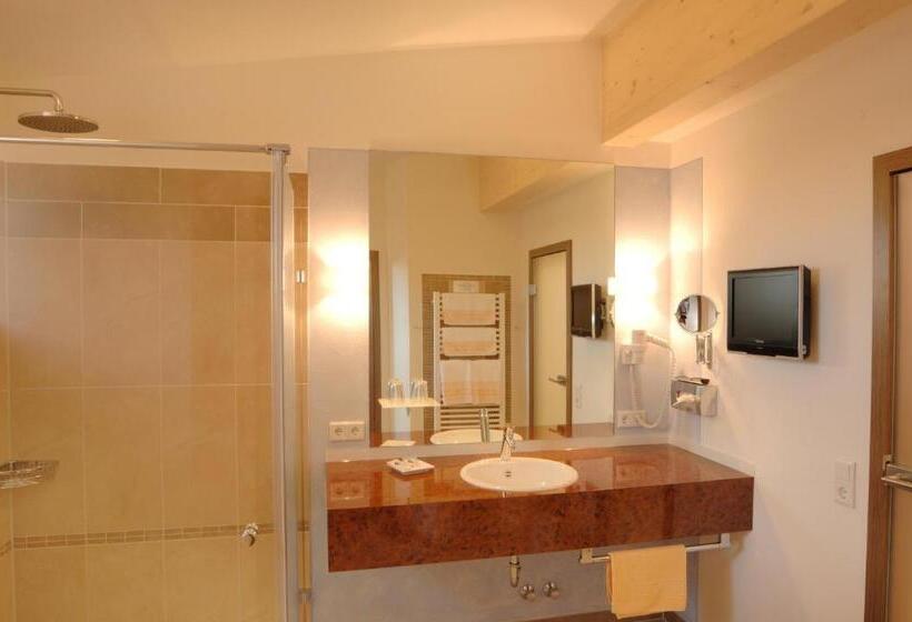 Студия Стандарт, Geiger