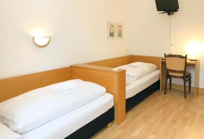 غرفة قياسية, Moon