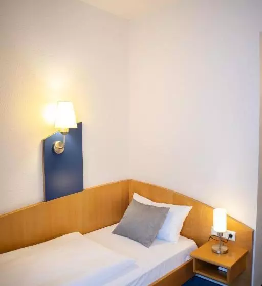 Habitación Estàndard Individual, Park
