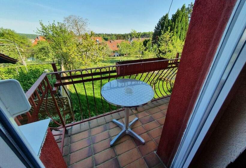 Standart Tek Kişilik Oda, Schönblick