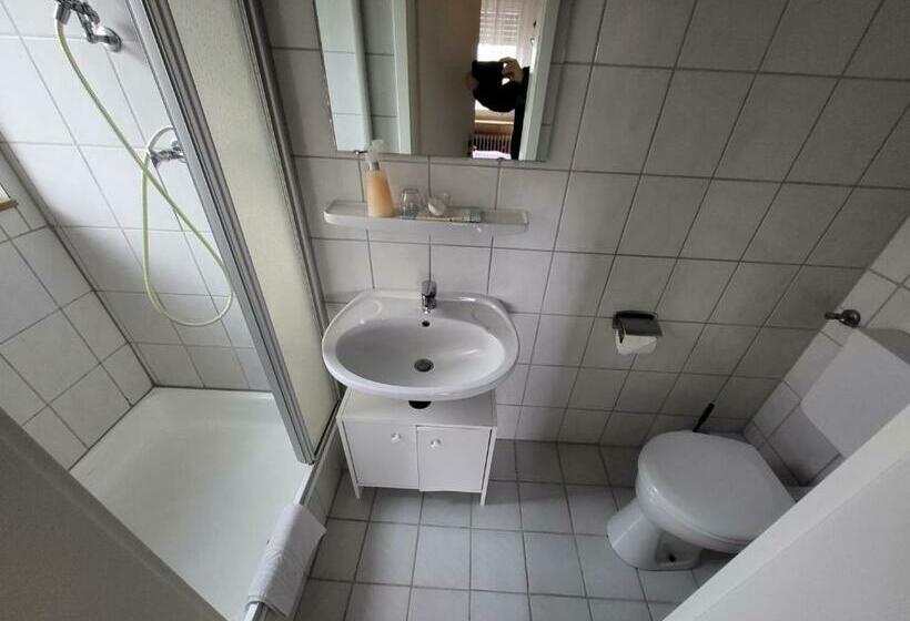 Standart Tek Kişilik Oda, Schönblick