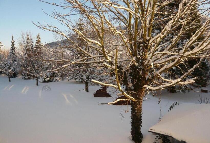 Enkelrum Trädgårdsutsikt, Scholz