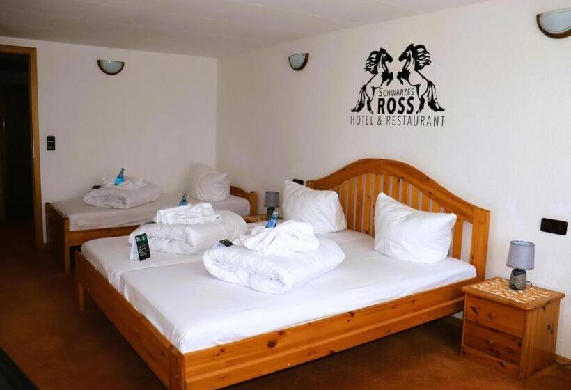 Номер Стандарт Трехместный, Schwarzes Ross Hotel & Restaurant Oberwiesenthal
