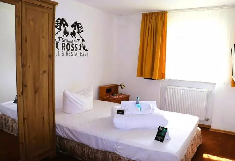 スタンダードシングルルーム, Schwarzes Ross Hotel & Restaurant Oberwiesenthal