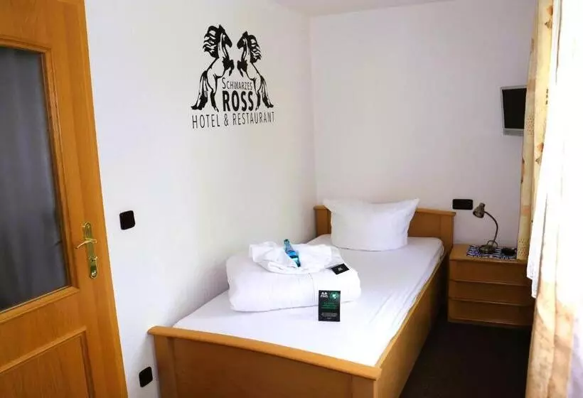 スタンダードシングルルーム, Schwarzes Ross Hotel & Restaurant Oberwiesenthal
