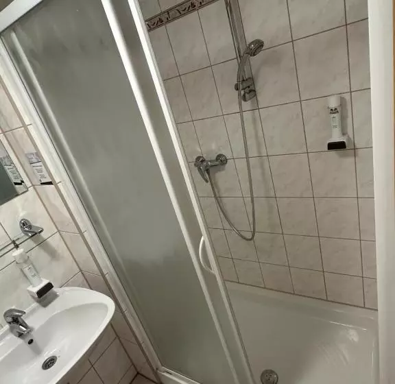 スタンダードシングルルーム, Schwarzes Ross Hotel & Restaurant Oberwiesenthal