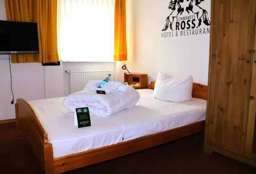 スタンダードシングルルーム, Schwarzes Ross Hotel & Restaurant Oberwiesenthal