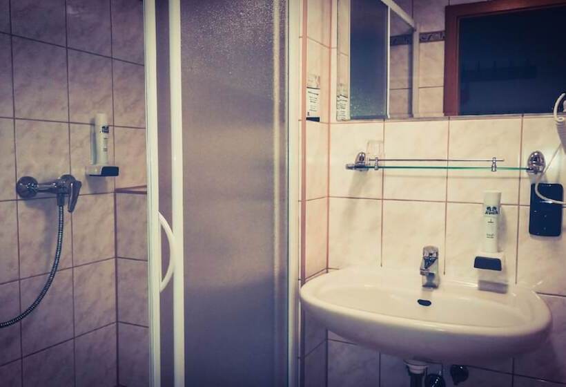 Номер Стандарт, Schwarzes Ross Hotel & Restaurant Oberwiesenthal