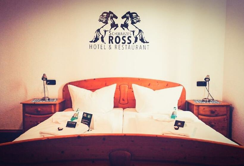 标准间, Schwarzes Ross Hotel & Restaurant Oberwiesenthal