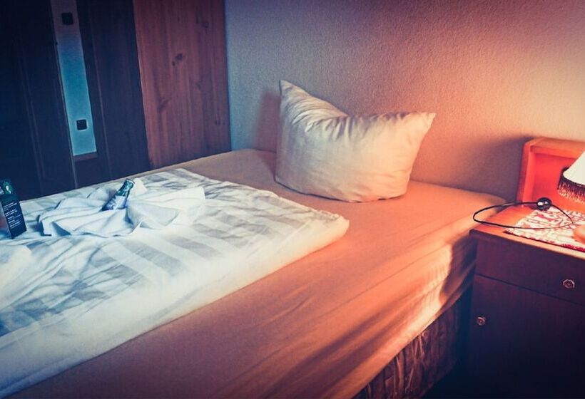 Номер Стандарт Индивидуальный, Schwarzes Ross Hotel & Restaurant Oberwiesenthal