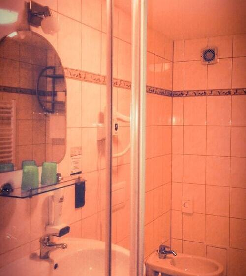 Номер Стандарт Трехместный, Schwarzes Ross Hotel & Restaurant Oberwiesenthal