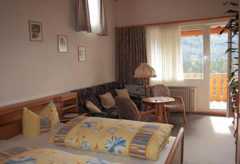 Номер Комфорт, Schwarzwald Gasthof Hirsch