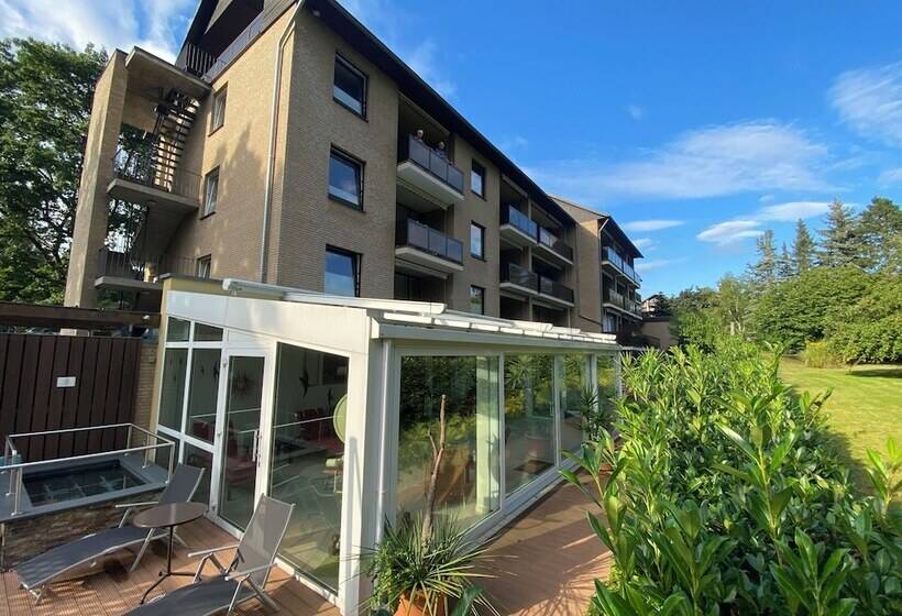 חדר קומפורט יחיד, Sonnenhügel