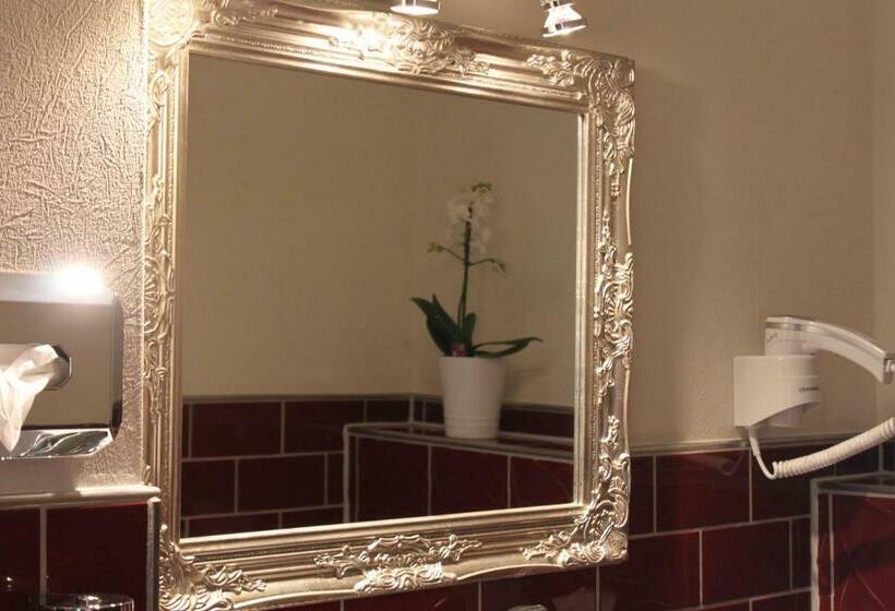 스탠다드 싱글 룸, Stadtparkhotel Alexandra