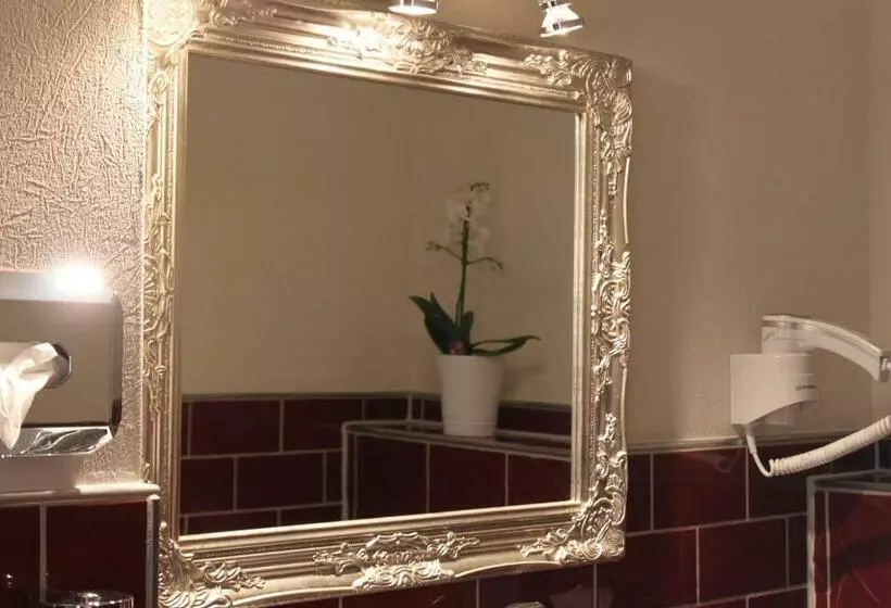 Standard Yhden Hengen Huone, Stadtparkhotel Alexandra
