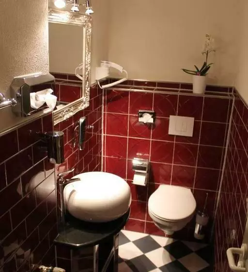 Standard Yhden Hengen Huone, Stadtparkhotel Alexandra