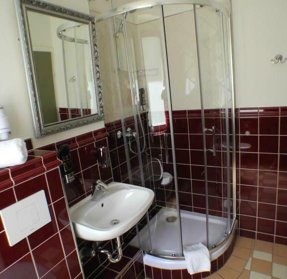 기본룸, Stadtparkhotel Alexandra