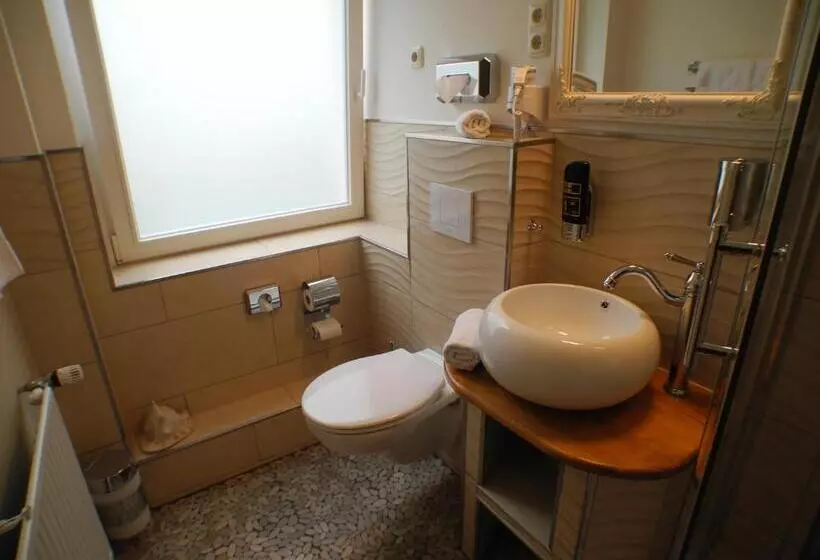 Basic-huone, Stadtparkhotel Alexandra