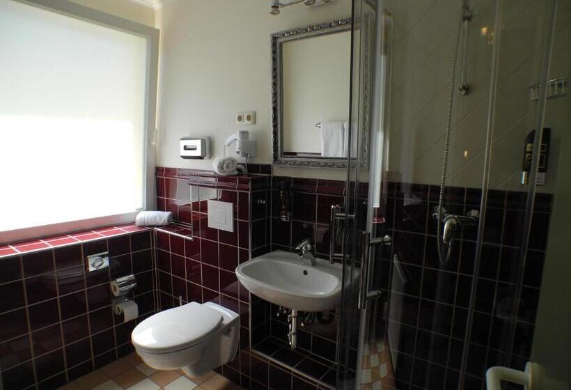 기본룸, Stadtparkhotel Alexandra