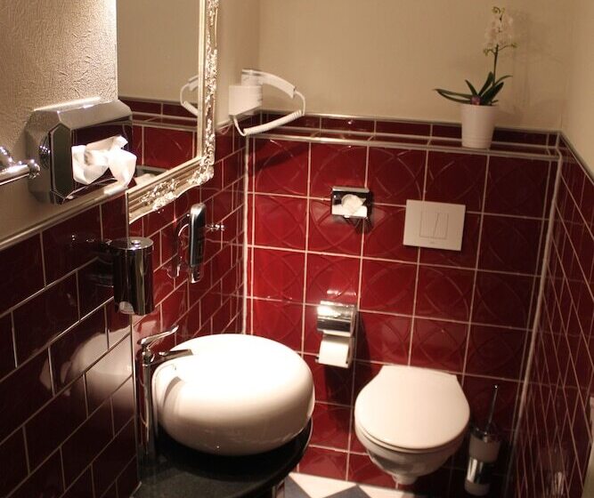 Номер Стандарт Индивидуальный, Stadtparkhotel Alexandra