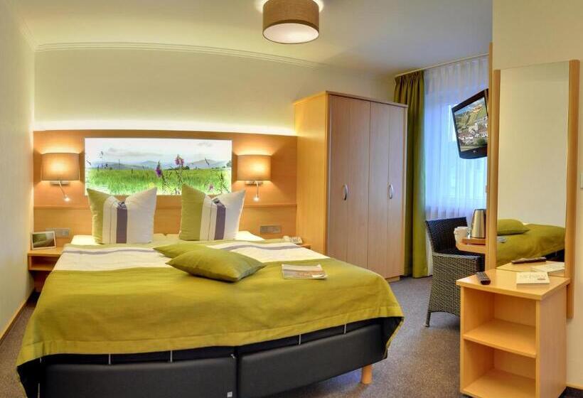 Plus Standaardkamer, Vakantiehotel Der Brabander