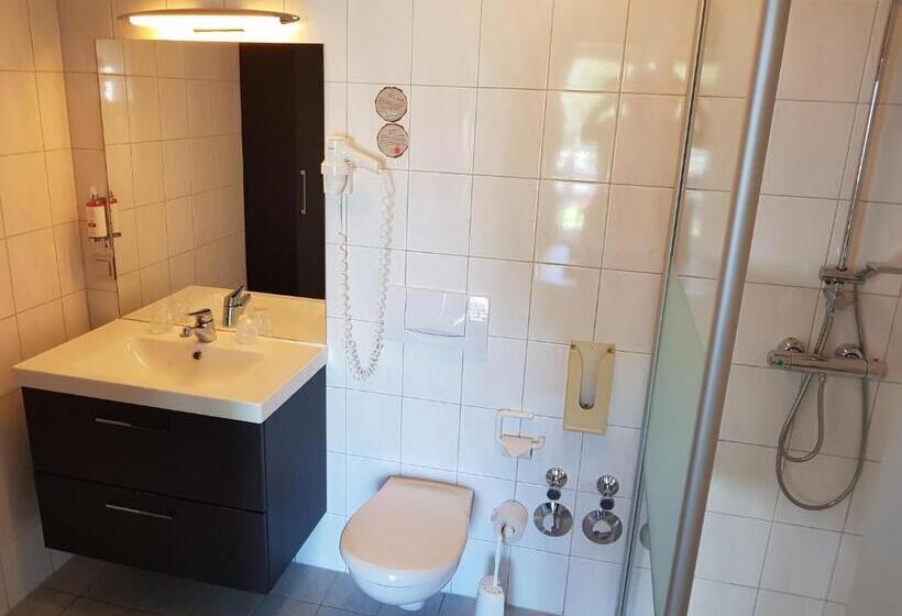 ロイヤルルーム, Vakantiehotel Der Brabander