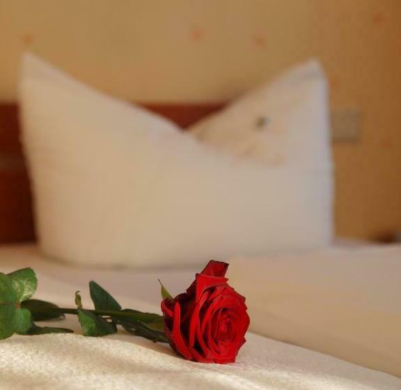 Номер Стандарт, Altes Doktorhaus Hotel Garni