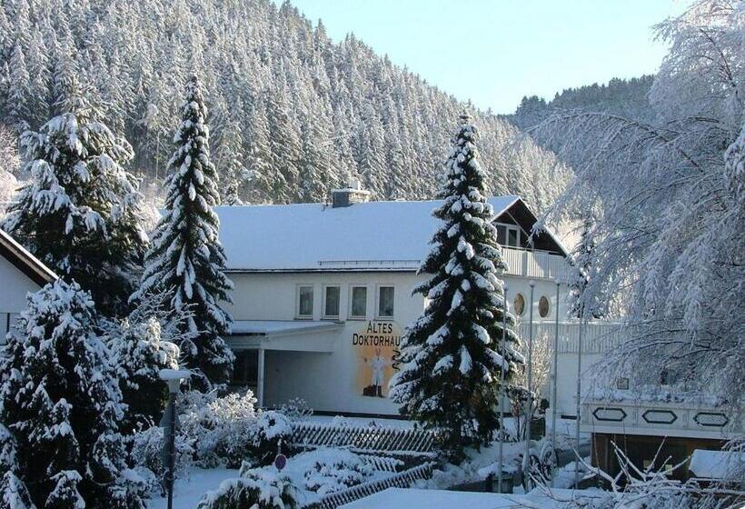 Апартаменты 2 Спальни, Altes Doktorhaus Hotel Garni