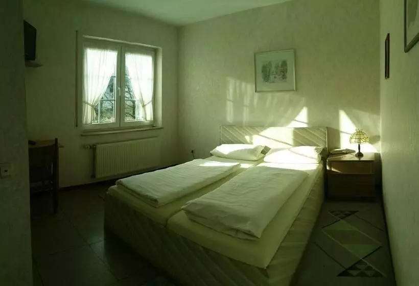 Standard Yhden Hengen Huone, Landhaus Koln