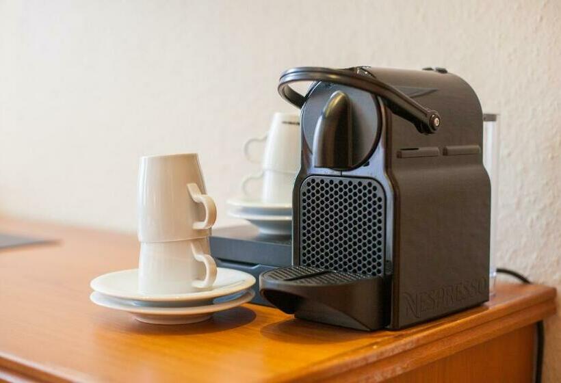 غرفة قياسية فردية, City Hotel Valois