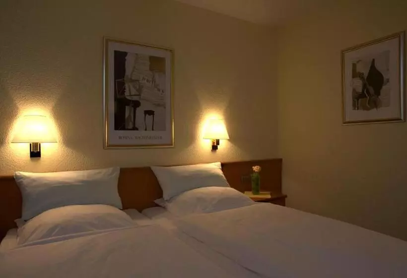 スタンダードルーム, City Hotel Valois