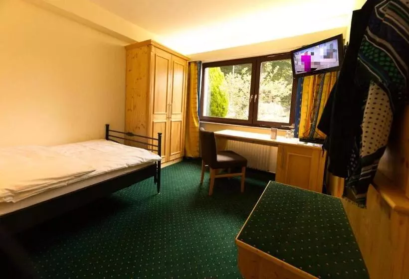 Standard Yhden Hengen Huone, Parkhotel Hammerberg