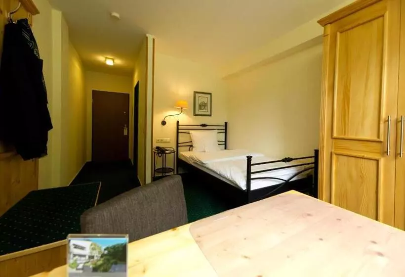Standard Yhden Hengen Huone, Parkhotel Hammerberg