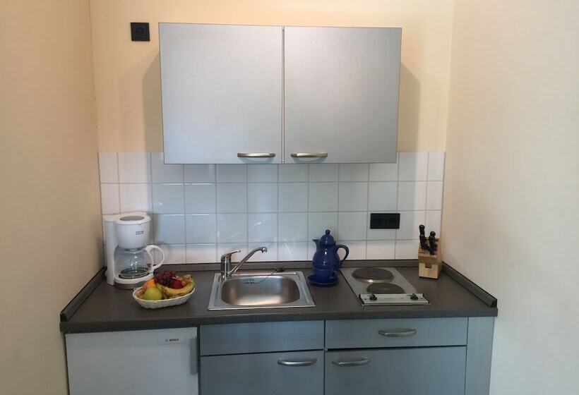 شقة غرفة واحدة, Ambiente