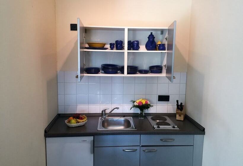 شقة غرفة واحدة, Ambiente