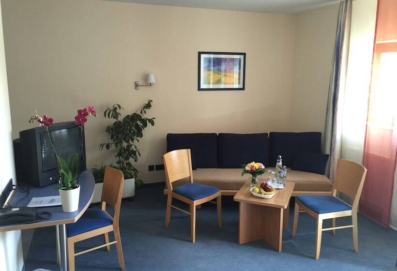 شقة غرفة واحدة, Ambiente