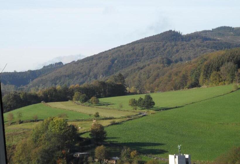 标准单人间, Familie Hotel Kameleon