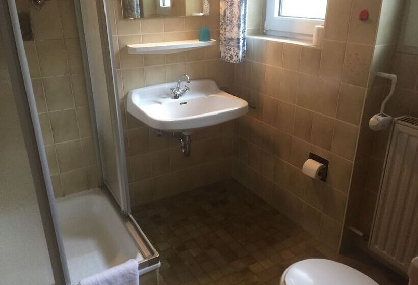 标准单人间, Familie Hotel Kameleon