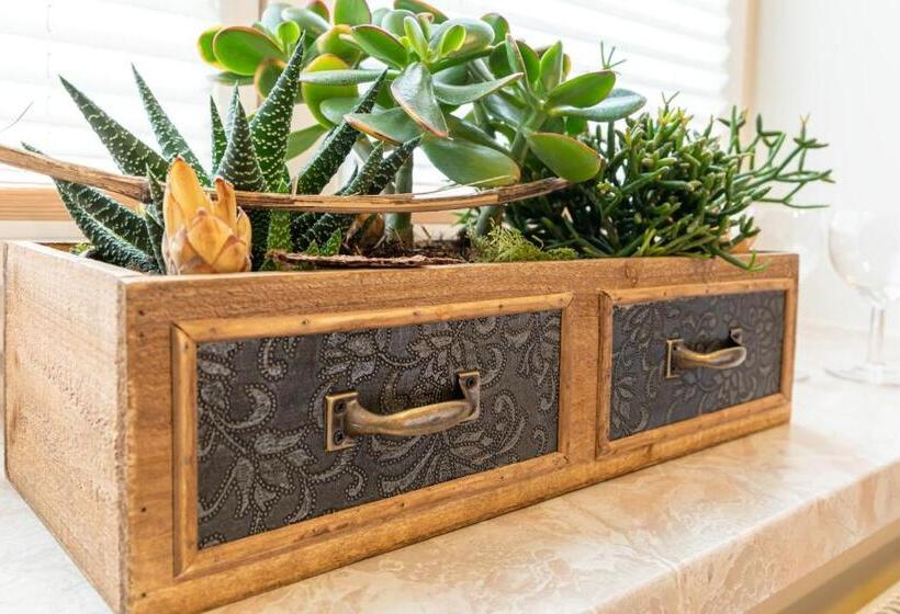 스탠다드 싱글 룸, Hubertus Hof