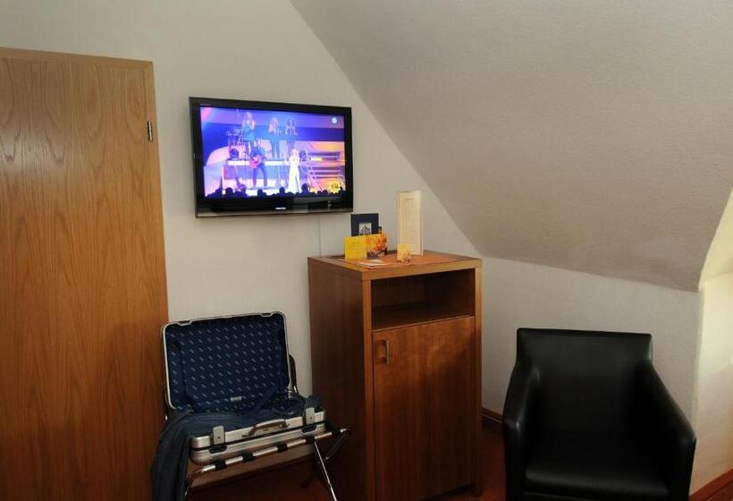 컴포트 싱글 룸, Reichshof Garni